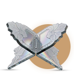 رحل